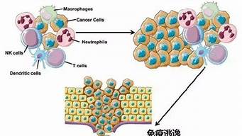 肿瘤与免疫系统失调的关系：如何改善身体免疫力？(肿瘤的发生与免疫有啥关系)